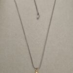 Silver chain with golden heart