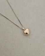 Silver chain and golden heart. - Imagen 3