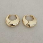 Hoops Earring