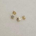 Star Crystal Stud Earring